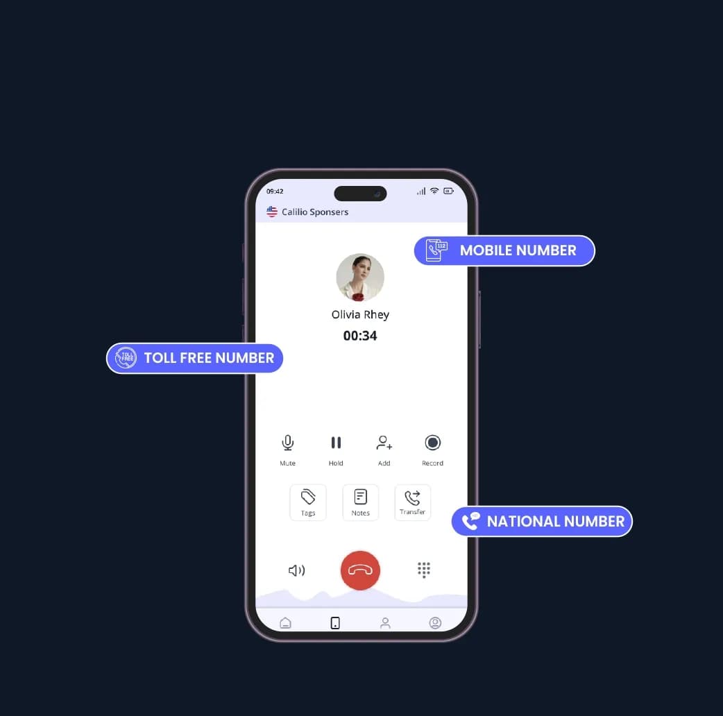 different type of number include toll-free, mobile and national number